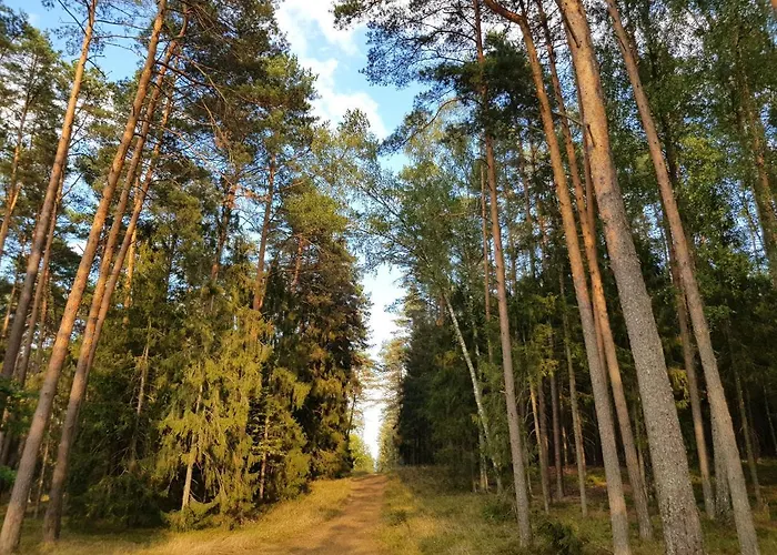Mazurska Sielanka Na Wiartlu