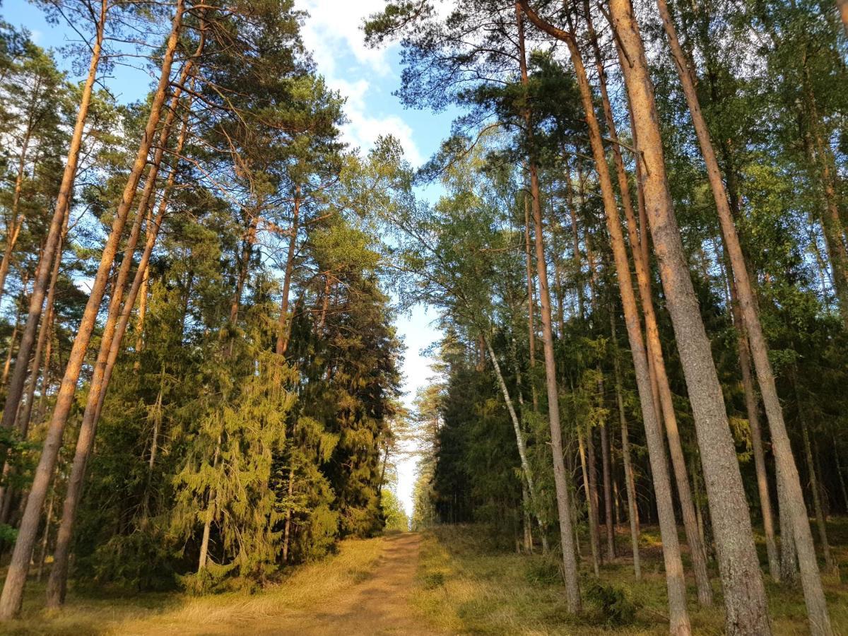 Mazurska Sielanka Na Wiartlu Holiday home *