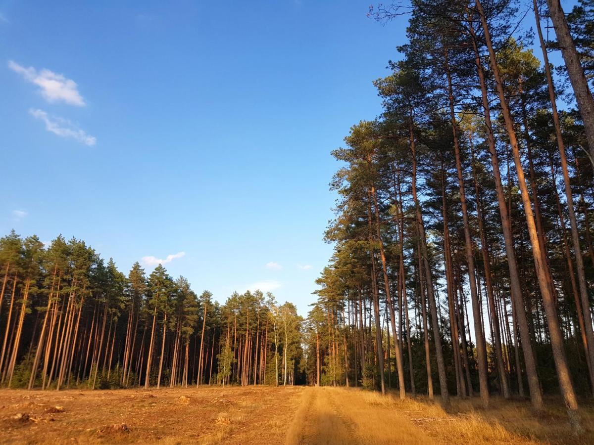 Mazurska Sielanka Na Wiartlu Holiday home *