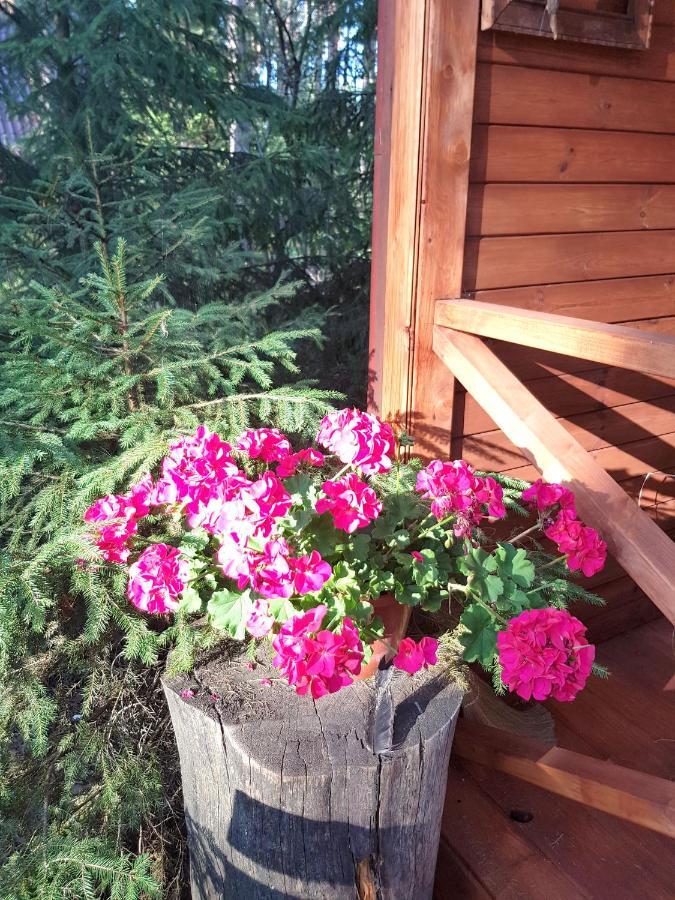 Holiday home Mazurska Sielanka Na Wiartlu