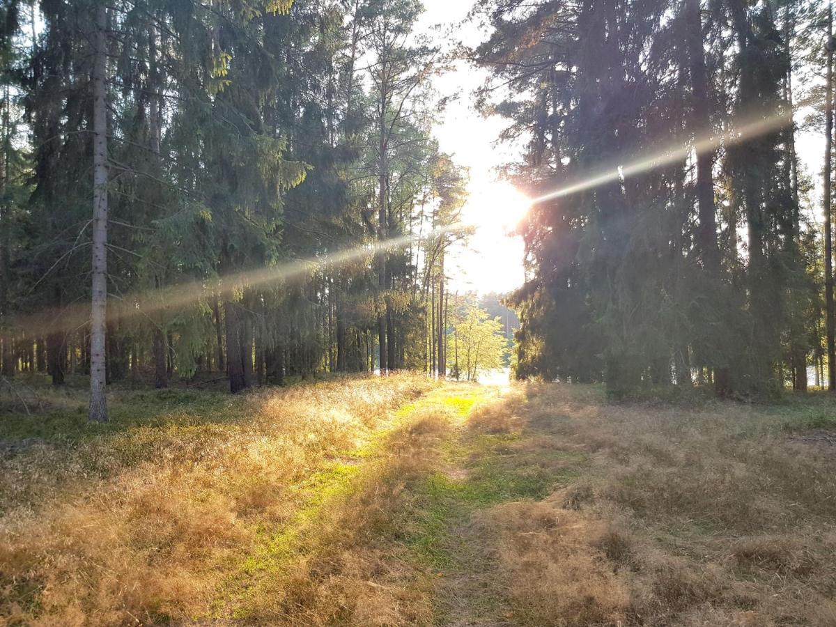 Mazurska Sielanka Na Wiartlu *