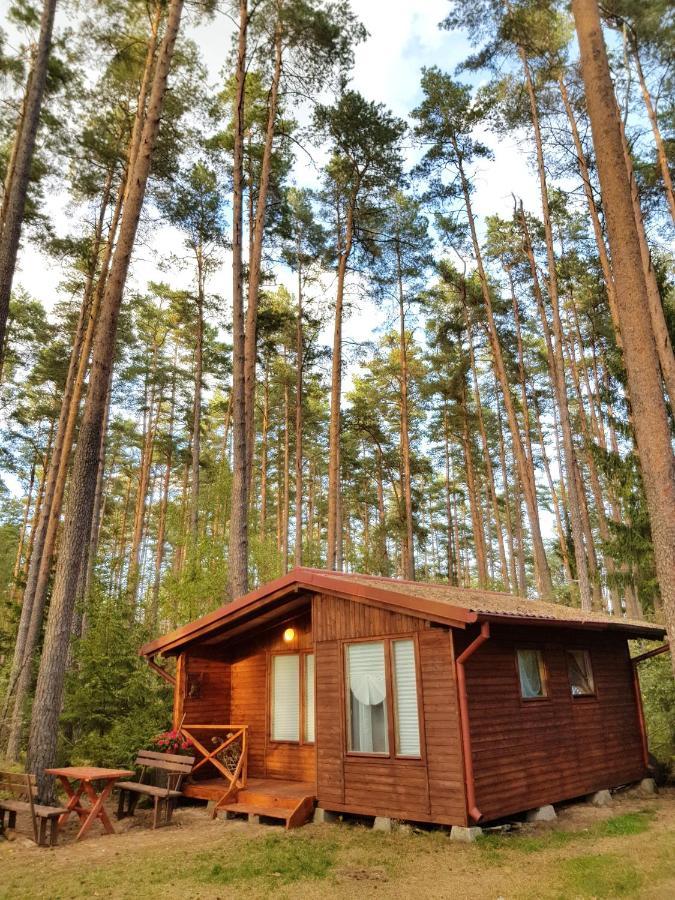 Mazurska Sielanka Na Wiartlu Holiday home Pisz